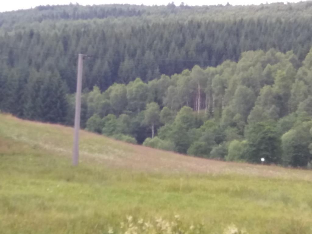 Apartman U Klinovce Kovarska Bagian luar foto